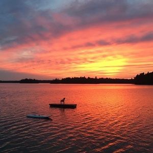 Meet your Posher, Chloe